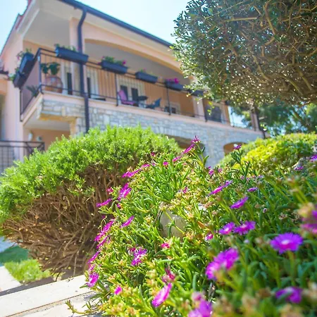 Apartman Holiday Maja Ii *